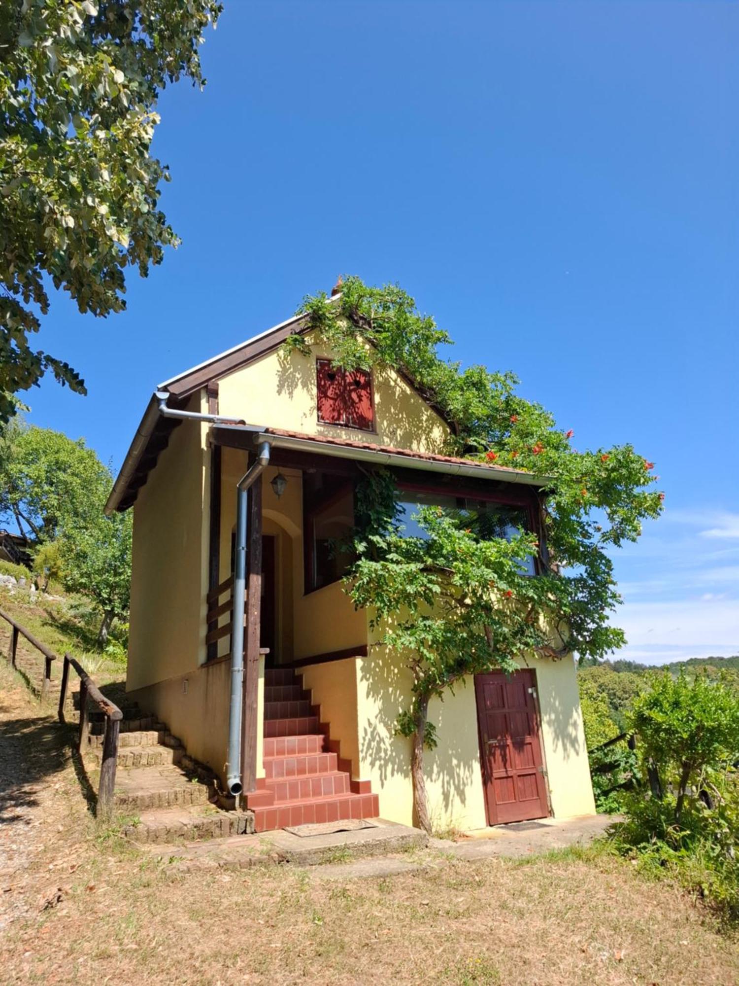 Country House Na Malenom Brijegu 别洛瓦尔 外观 照片